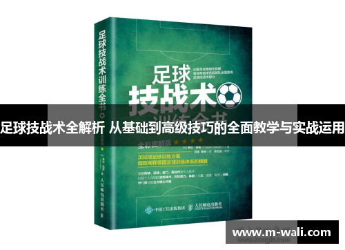 足球技战术全解析 从基础到高级技巧的全面教学与实战运用