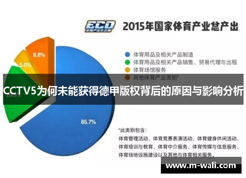 CCTV5为何未能获得德甲版权背后的原因与影响分析