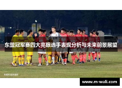 东盟冠军赛四大亮眼选手表现分析与未来前景展望