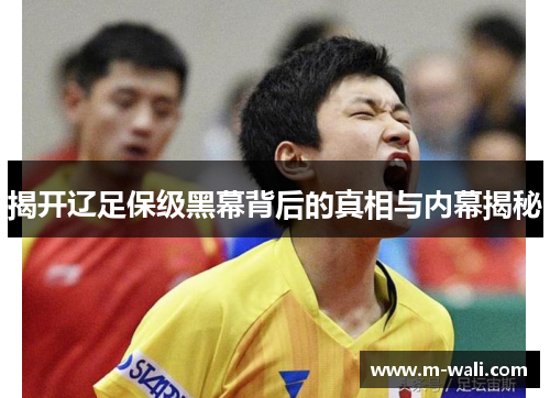 揭开辽足保级黑幕背后的真相与内幕揭秘