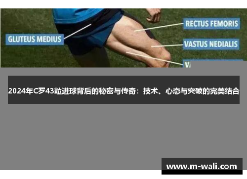 2024年C罗43粒进球背后的秘密与传奇：技术、心态与突破的完美结合
