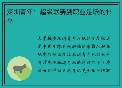深圳青年：超级联赛到职业足坛的壮举