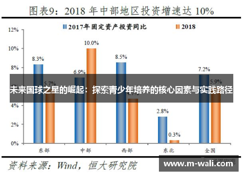 未来国球之星的崛起：探索青少年培养的核心因素与实践路径