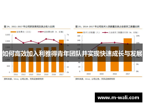 如何高效加入利雅得青年团队并实现快速成长与发展