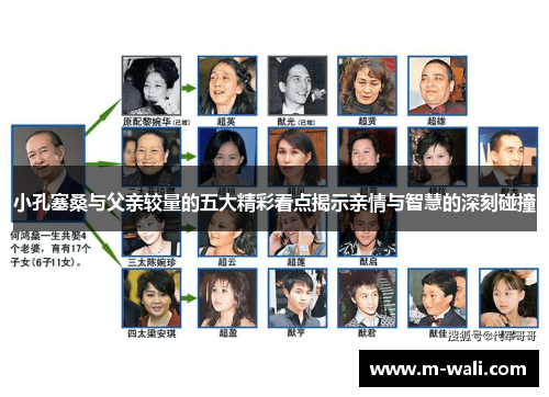 小孔塞桑与父亲较量的五大精彩看点揭示亲情与智慧的深刻碰撞