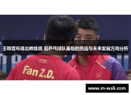 王皓宣布退出教练组 后乒乓球队面临的挑战与未来发展方向分析