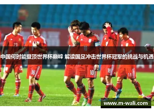 中国何时能登顶世界杯巅峰 解读国足冲击世界杯冠军的挑战与机遇