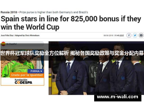 世界杯冠军球队奖励全方位解析 揭秘各国奖励政策与奖金分配内幕