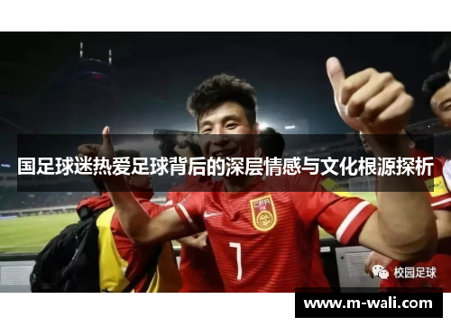 国足球迷热爱足球背后的深层情感与文化根源探析
